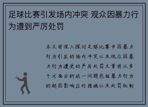 足球比赛引发场内冲突 观众因暴力行为遭到严厉处罚